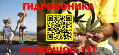 apvp Брянск