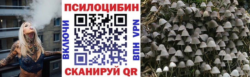 как найти закладки  Ачинск  Псилоцибиновые грибы мухоморы 