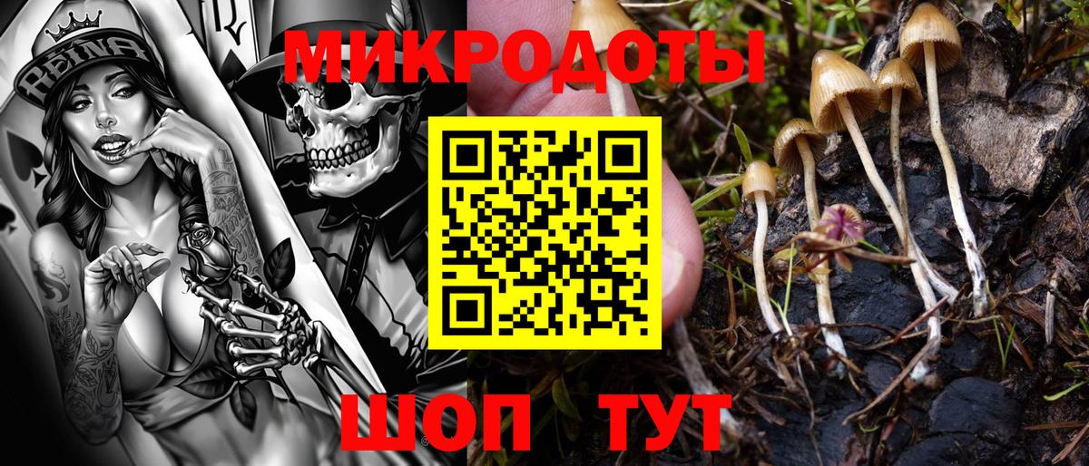 Галлюциногенные грибы MAGIC MUSHROOMS  Вход с VPN  Ачинск 
