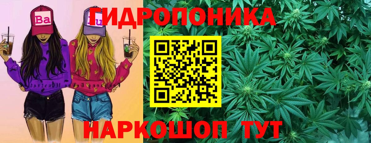 Шишки марихуана марихуана Ачинск